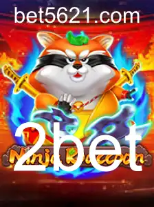NinjaRaccoon: Aventure-se no Mundo dos Combatentes Misteriosos
